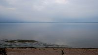 Am Greifswalder Bodden, © T. Massow