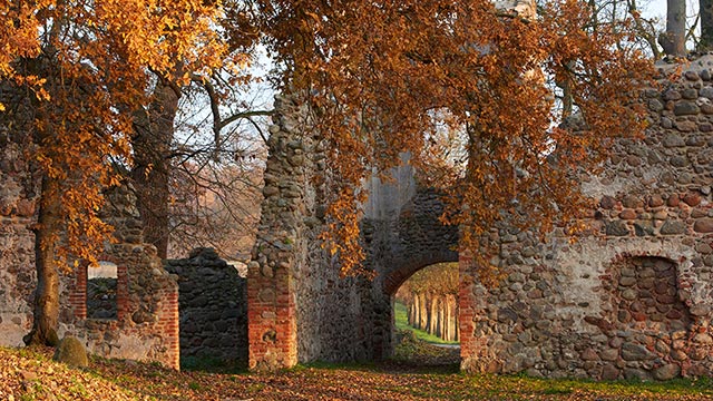 Burgruine Landskron