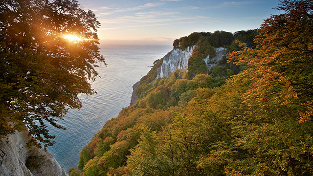 Kreidefelsen auf Rügen, © T. Grundner